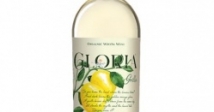 wino-gloria