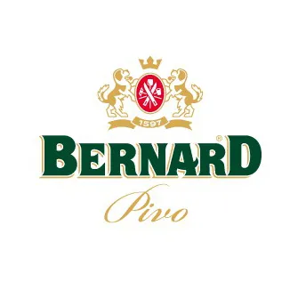 Bernard 10 Svetly Lezak 0,5L - obrazek 3