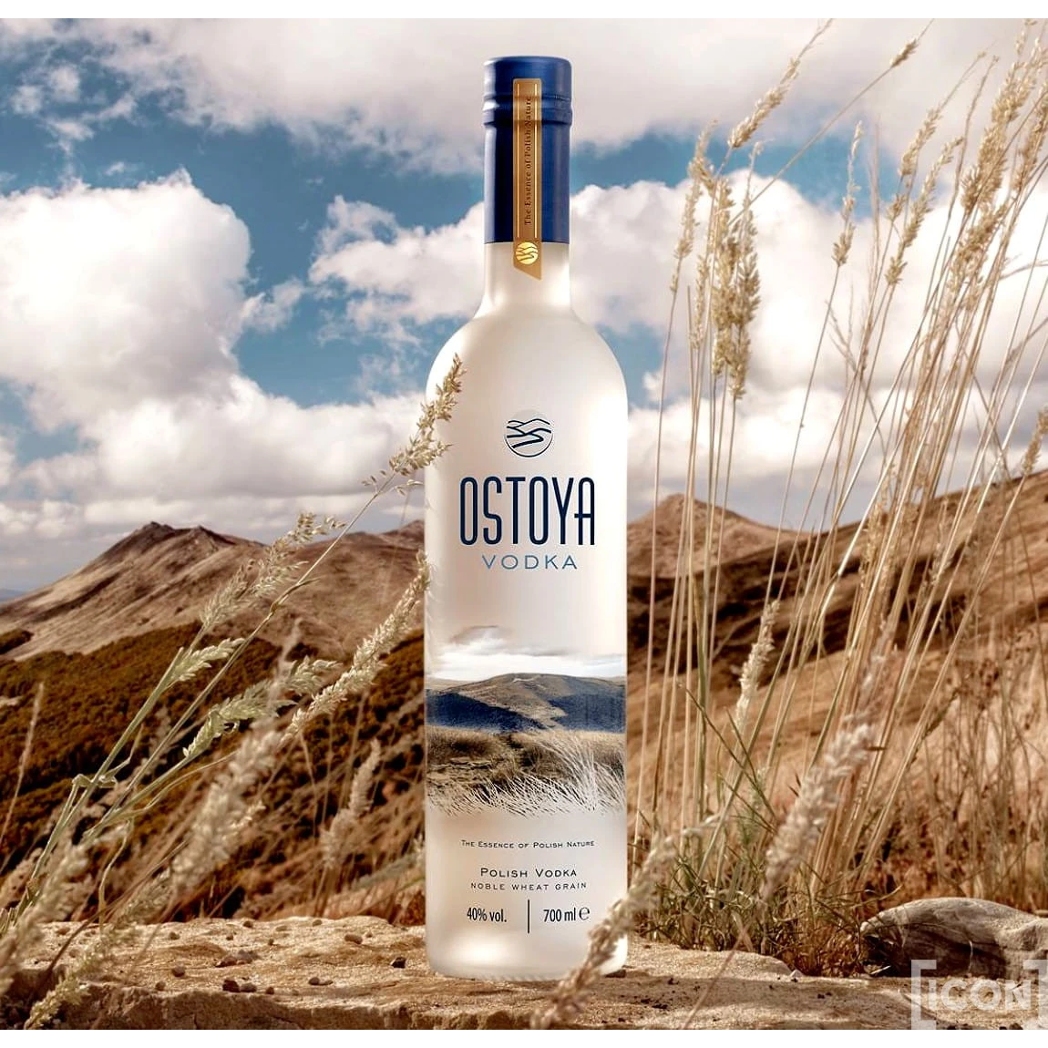 Wódka